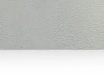 Barlan® 1100 BIO