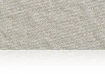 Barlan® 850 Plus